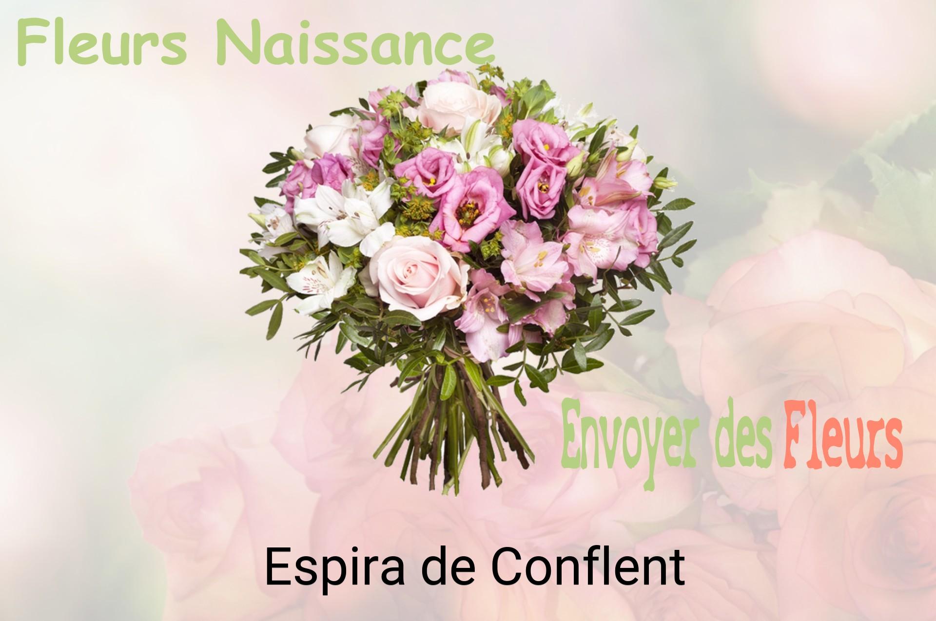 Bouquet de fleurs de naissance livré à Espira-de-Conflent